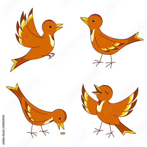 Vector birds