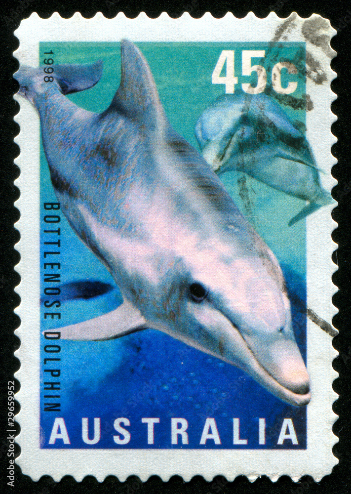 Fototapeta premium stamp