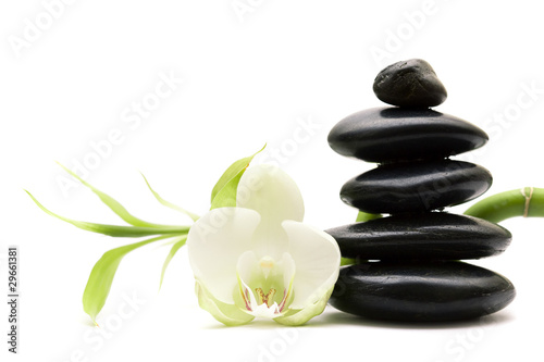 White flower  green bamboo and black stones isolated