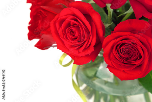 bouquet of red roses photo
