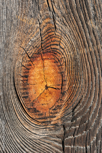 Wooden texture