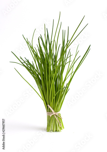 chives tied on white background