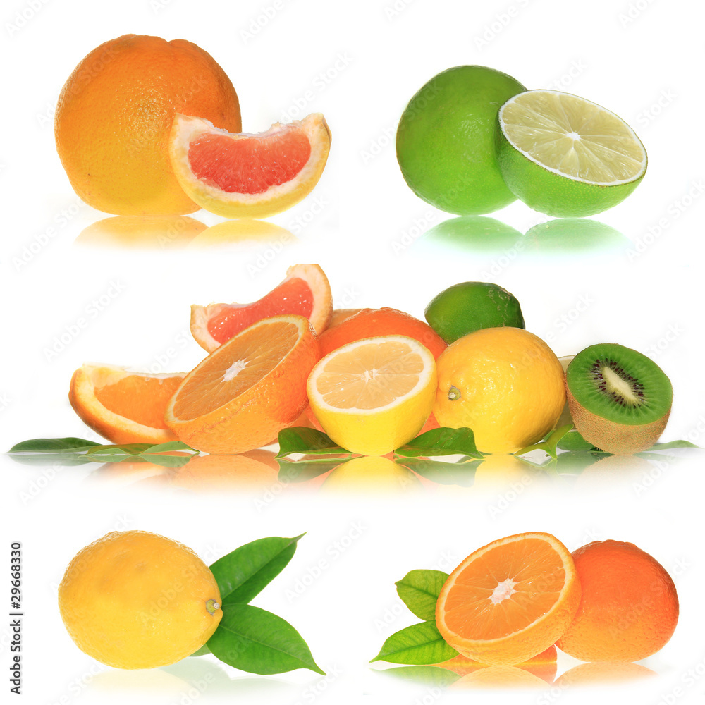Citrus Collection