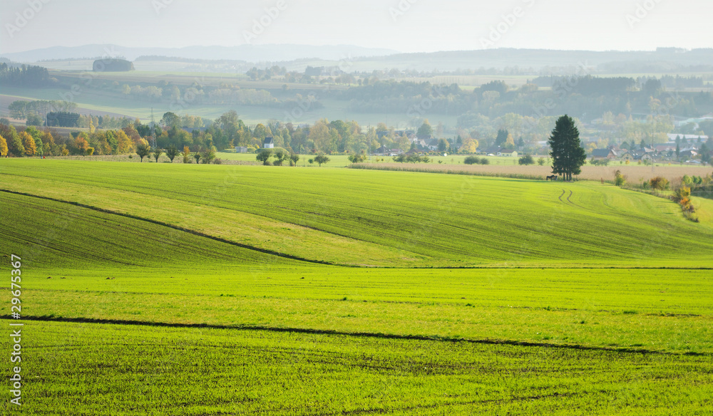 Fototapeta premium Agricultural view on the fields