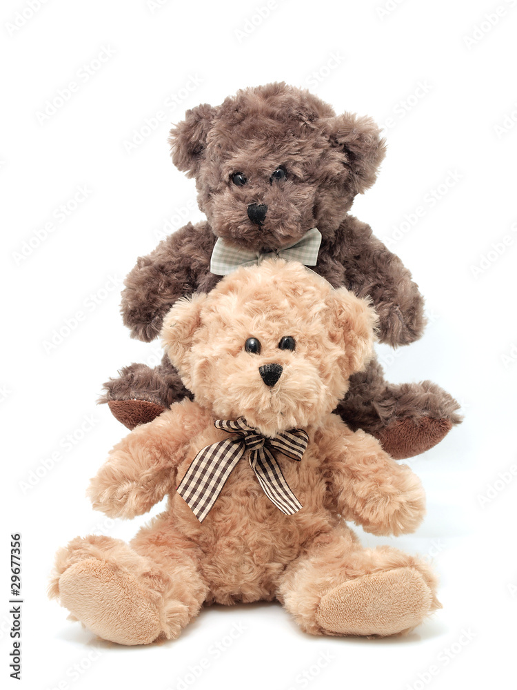 Obraz premium Misie na białym tle