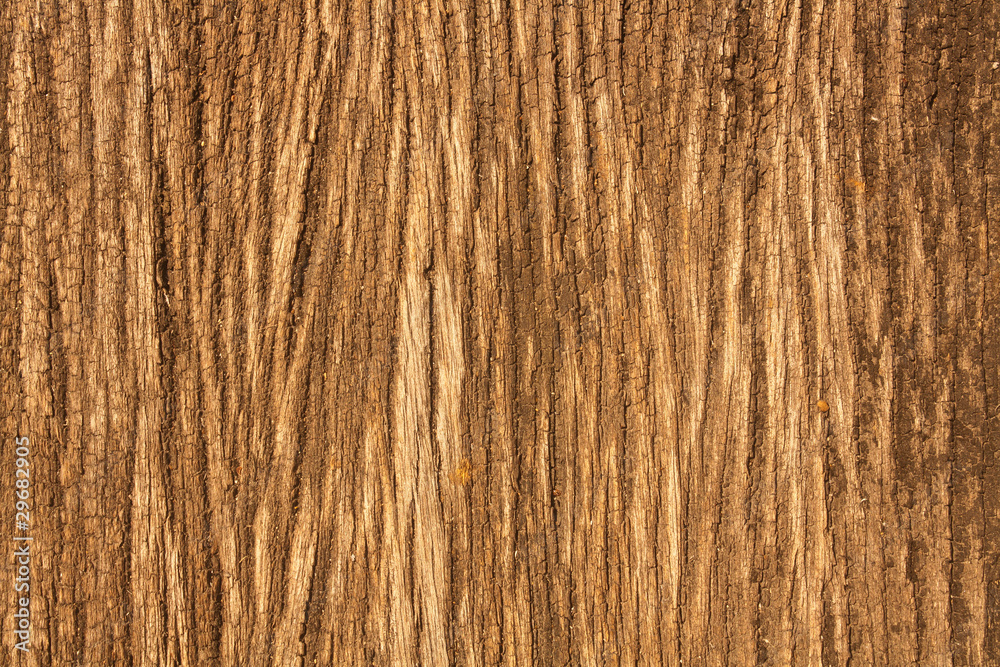 Fototapeta premium Texture detail of a wood plank