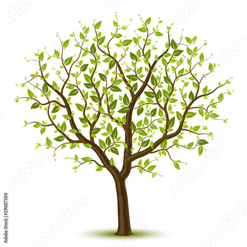 Spring tree