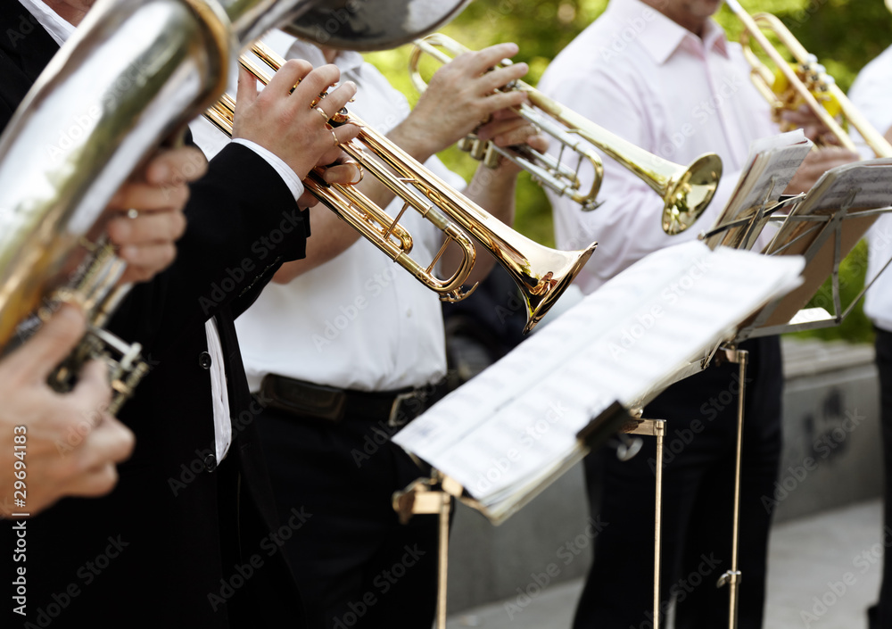Fototapeta premium musician