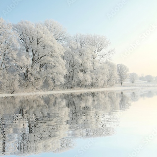 Frosty winter trees against a blue sky with reflection in water