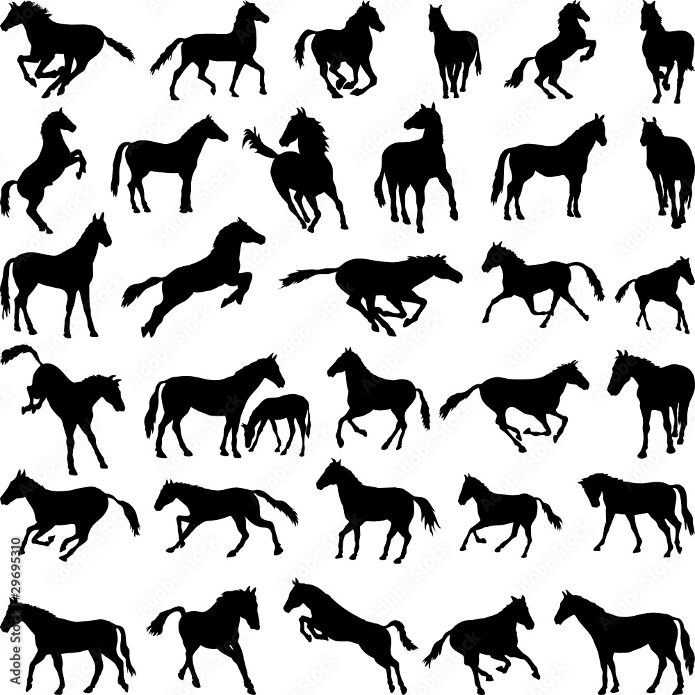 Horses various postures silhouettes