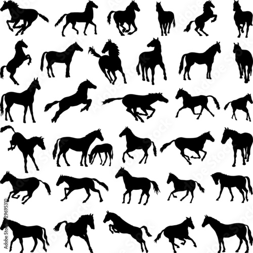 Horses various postures silhouettes