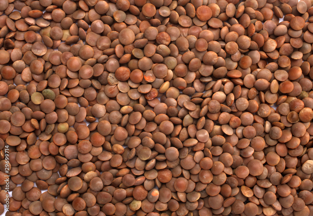 Brown Lentils (lens culinaris) Brown Lentils (lens culinaris)