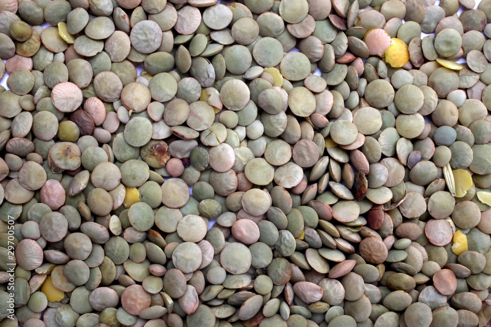 Green Lentils (lens culinaris) Green Lentils (lens culinaris)