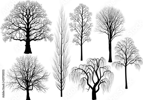 Collection of trees in black