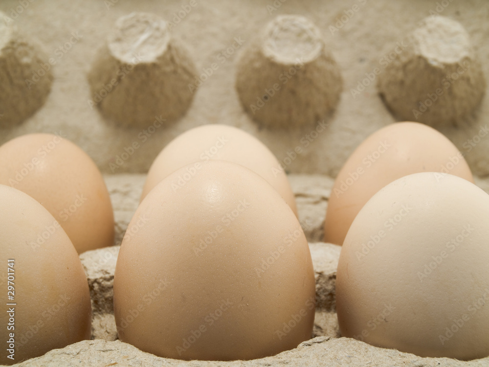 Eggs in a tray Eggs in a tray