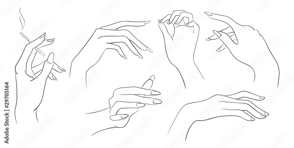 Vector women hands