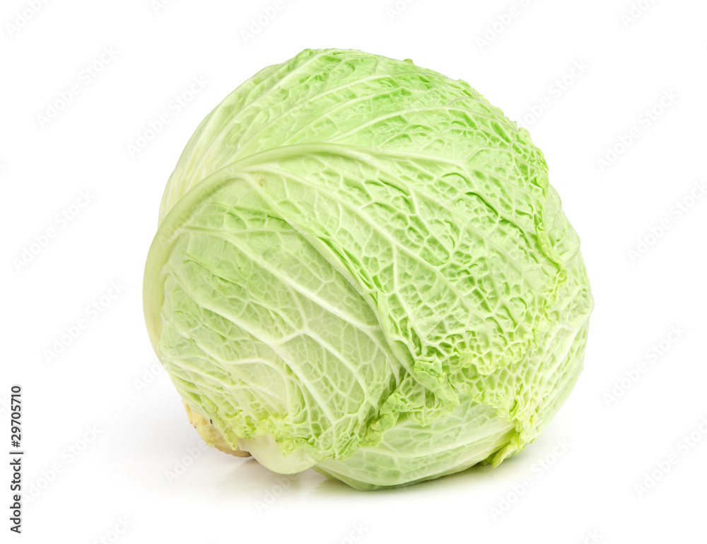 Fresh savoy cabbage Fresh savoy cabbage