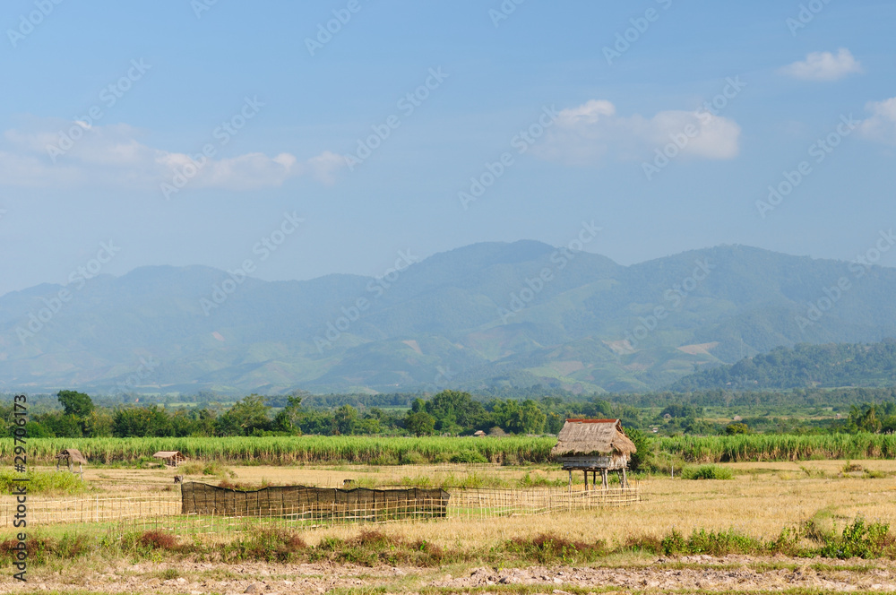 Lao, Muang Sing - rural scene