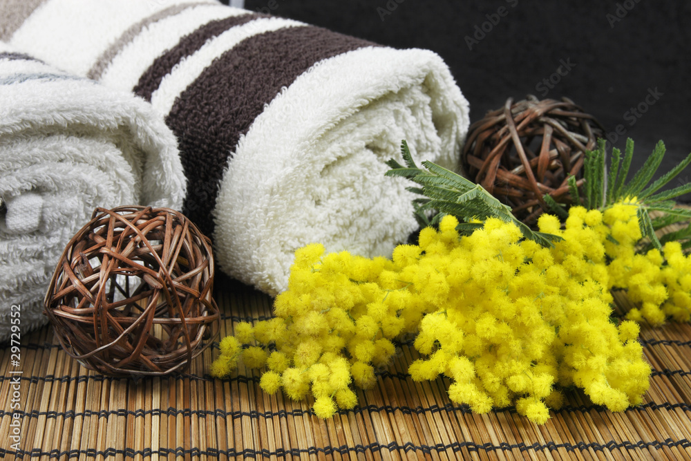 Ambiance Zen et Spa
