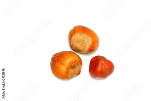 nuts hazelnuts