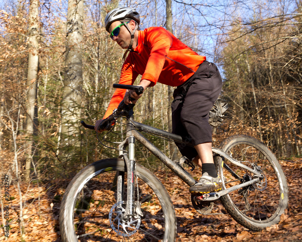 Obraz premium Mountainbiker im Wald