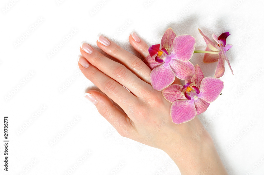 Beautiful hand with perfect nail french manicure and purple orch Beautiful hand with perfect nail french manicure and purple orch