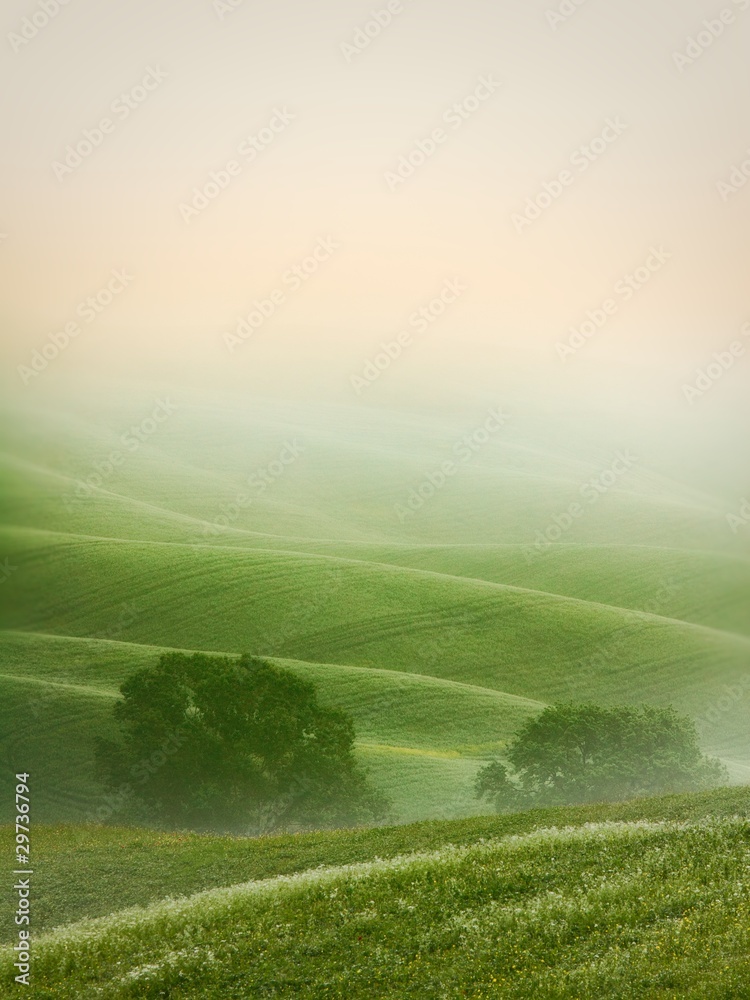 Hilly landscape of Tuscany Hilly landscape of Tuscany