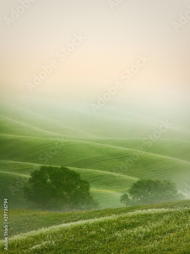 Hilly landscape of Tuscany