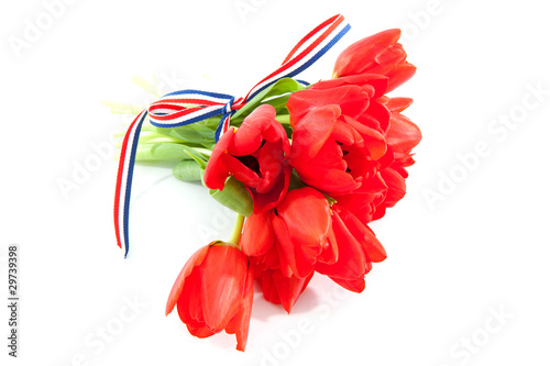 Fototapeta Naklejka Na Ścianę i Meble -  bouquet of red Dutch tulips with ribbon over white background