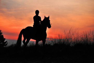 Sierkussen Paardrijden Silhouet ruiter te paard zonsondergang  © defotoberg