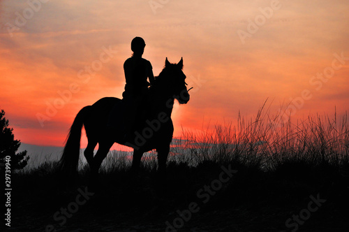 A Rider Silhouette on Horseback by sunset