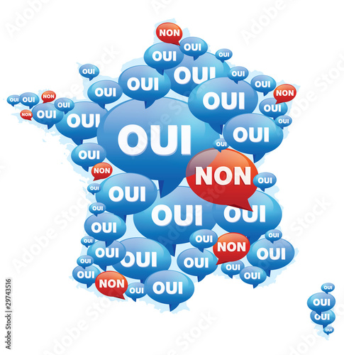 vote electoral français / le OUI l'emporte