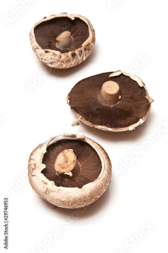 White field mushrooms