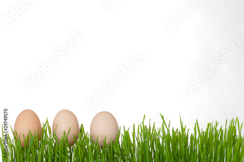 Easter, Eggs, Easter grass