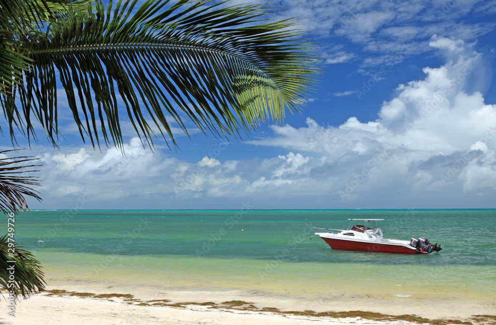Obraz premium plage déserte des Seychelles