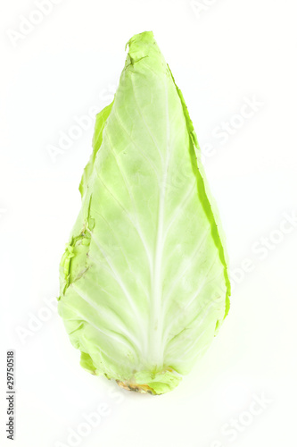 Conical cabbage..cabbage.. cabbage