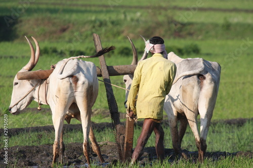 Kerala 1