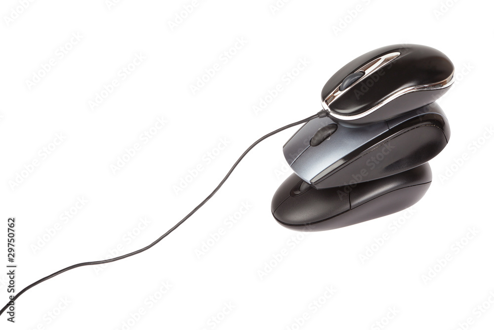 Computer Mouse