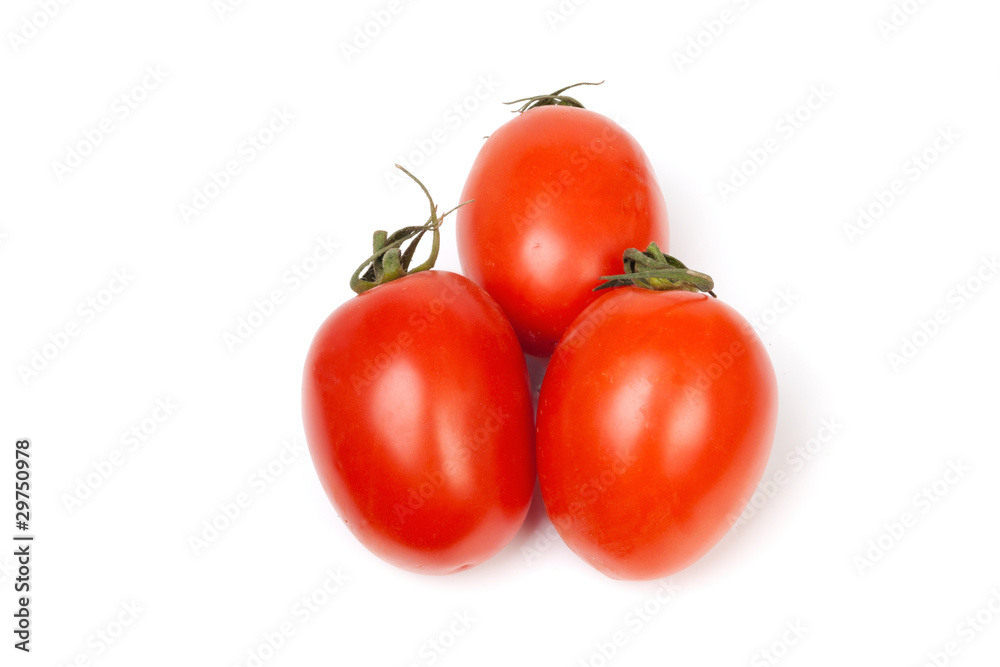 Tomatoes Tomatoes