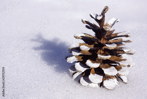 pomme de pin décorée dans la neige