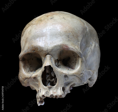 Obraz na płótnie Skull.