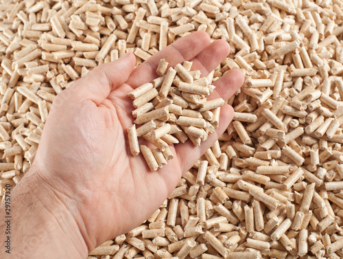 Obraz na plátně Wood Pellet