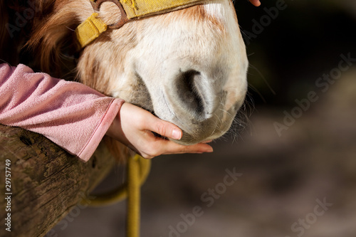 kind streichelt pferd
