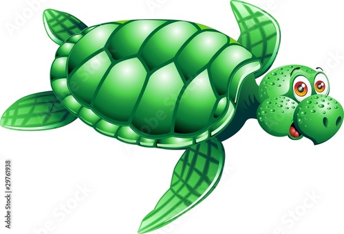 Tartaruga Marina Cartoon-Sea Turtle Cartoon-2-Vector