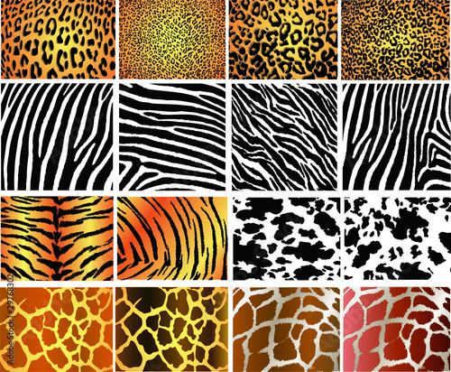 Collection of 16 vector skin animal texture