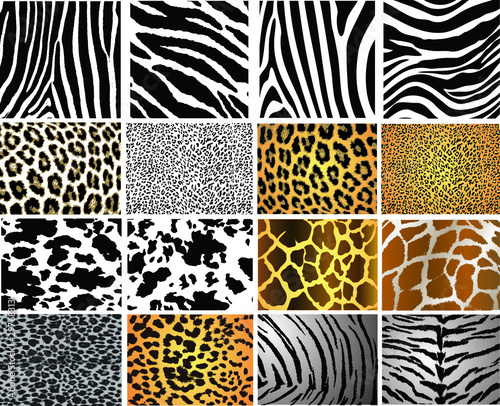 Collection of 16 vector skin animal texture #29768313