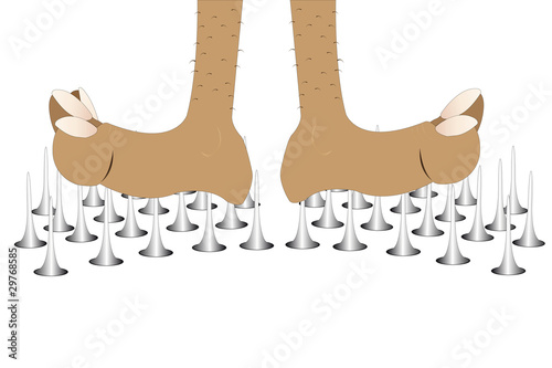 yogi's legs