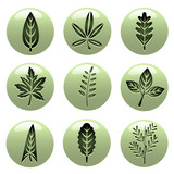 leaf icons