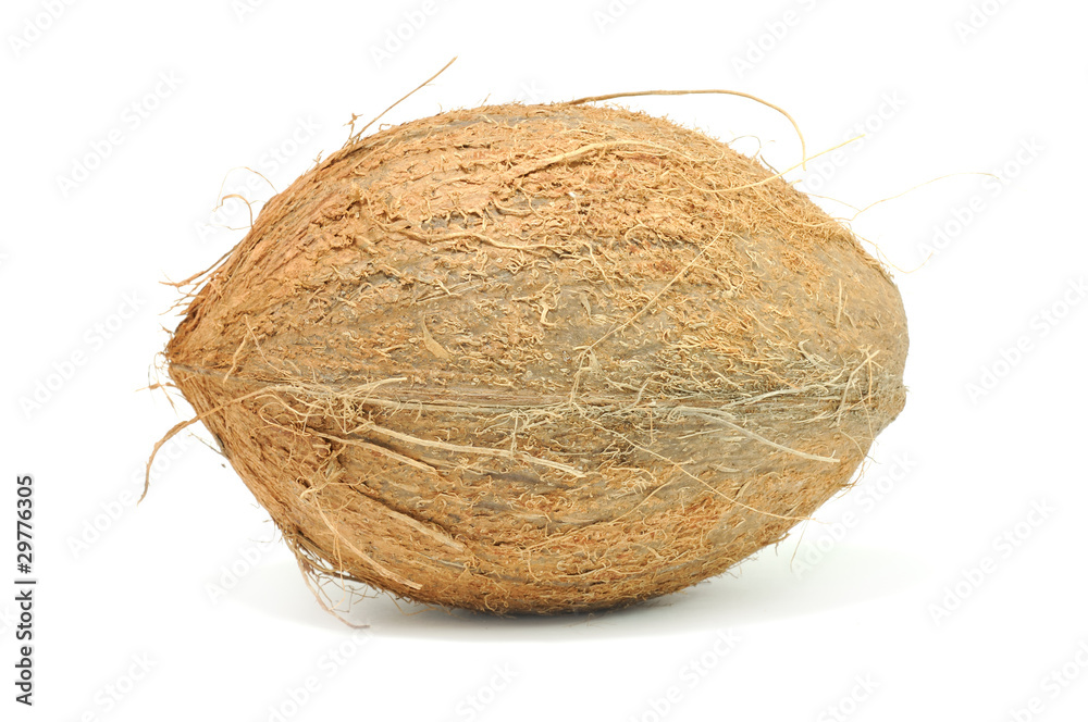 Coconut Isolated on White Background Coconut Isolated on White Background
