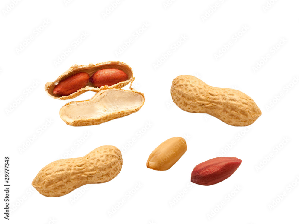 peanuts isolated on white background peanuts isolated on white background